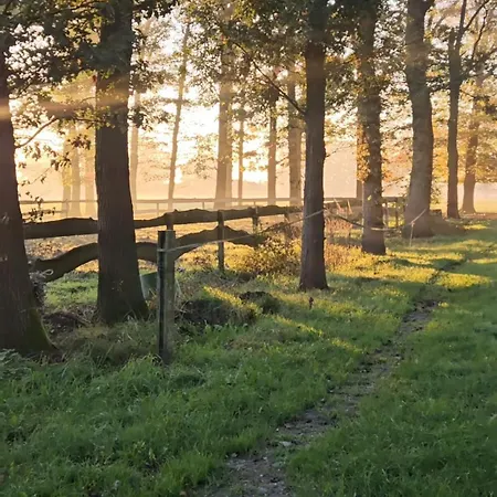 Bijzonder Buitenaf Met Verkoelende Jacuzzi En Finse Sauna Vragender