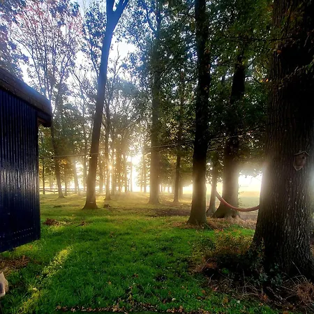 Autentieke Pipowagen Bijzonder Buitenaf Met Jacuzzi En Finse Sauna Vragender