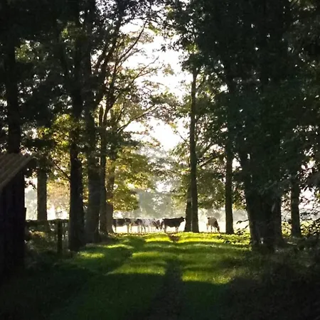 Pipowagen Bijzonder Buitenaf Holiday home *
