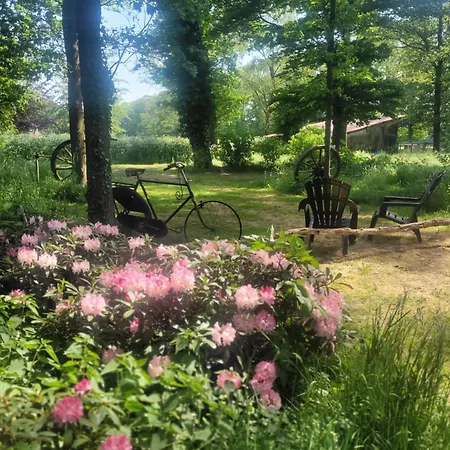 Pipowagen Bijzonder Buitenaf Holiday home Vragender