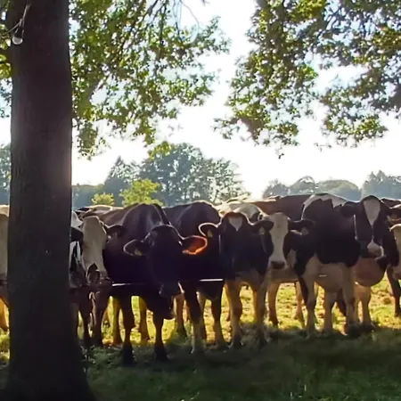 Pipowagen Bijzonder Buitenaf Met Jacuzzi En Sauna Дом отдыха