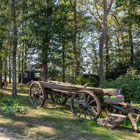 Pipowagen Bijzonder Buitenaf Holiday home *