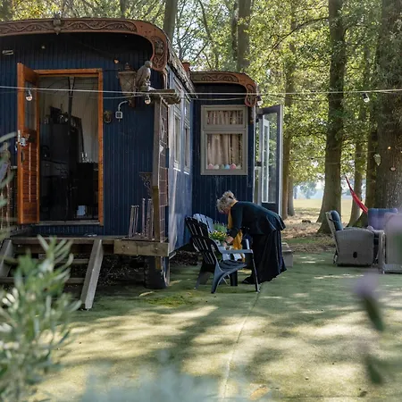 Semesterbostad Autentieke Pipowagen Bijzonder Buitenaf Met Jacuzzi En Finse Sauna Vragender