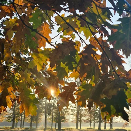 Pipowagen Bijzonder Buitenaf Met Jacuzzi En Sauna Vragender