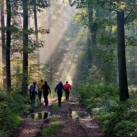 Pipowagen Bijzonder Buitenaf Met Jacuzzi En Sauna Vragender