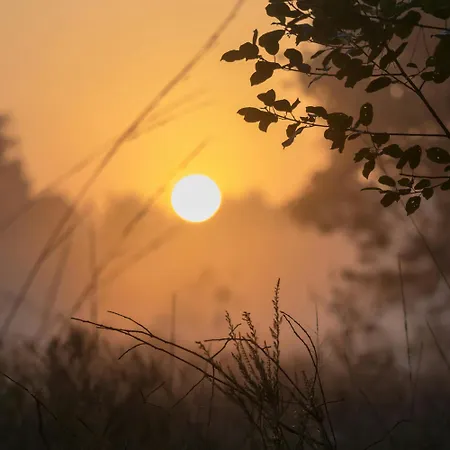 Autentieke Pipowagen Bijzonder Buitenaf Met Jacuzzi En Finse Sauna Semesterbostad Vragender