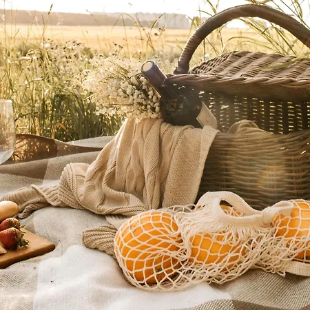 Semesterbostad Autentieke Pipowagen Bijzonder Buitenaf Met Jacuzzi En Finse Sauna Vragender