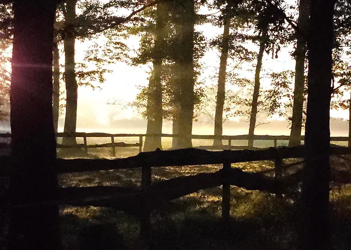 Autentieke Pipowagen Bijzonder Buitenaf Met Jacuzzi En Finse Sauna