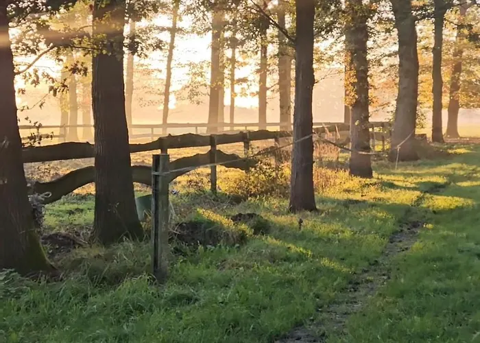 Autentieke Pipowagen Bijzonder Buitenaf Met Jacuzzi En Finse Sauna Vragender