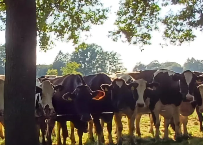 Autentieke Pipowagen Bijzonder Buitenaf Met Jacuzzi En Finse Sauna Semesterbostad