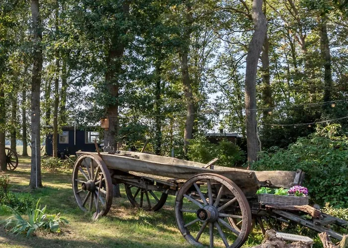 Autentieke Pipowagen Bijzonder Buitenaf Met Jacuzzi En Finse Sauna Semesterbostad *