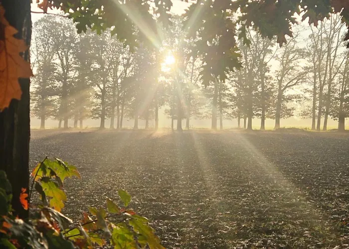 Autentieke Pipowagen Bijzonder Buitenaf Met Jacuzzi En Finse Sauna