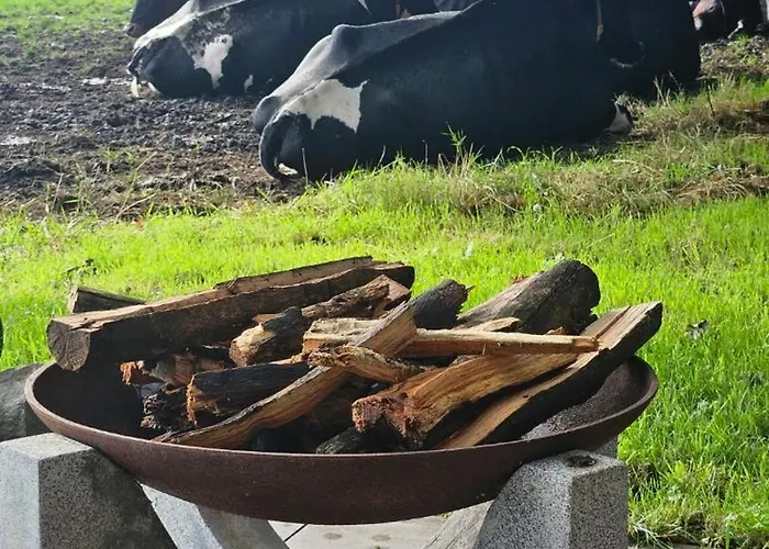 Autentieke Pipowagen Bijzonder Buitenaf Met Jacuzzi En Finse Sauna Semesterbostad Vragender