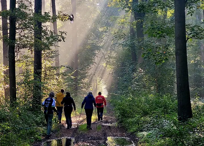 Autentieke Pipowagen Bijzonder Buitenaf Met Jacuzzi En Finse Sauna Vragender
