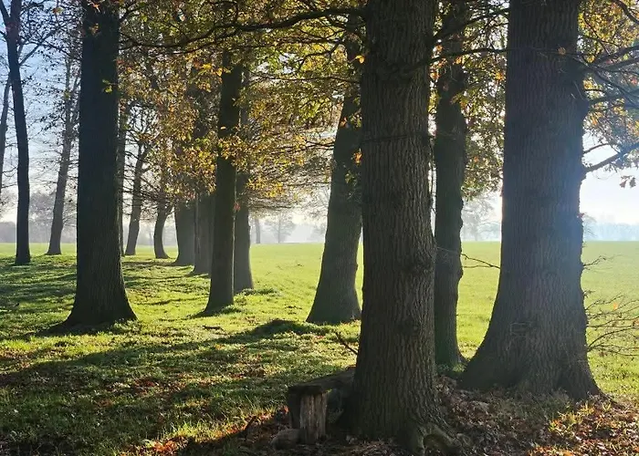 Semesterbostad Autentieke Pipowagen Bijzonder Buitenaf Met Jacuzzi En Finse Sauna *