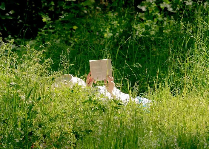 Autentieke Pipowagen Bijzonder Buitenaf Met Jacuzzi En Finse Sauna Semesterbostad
