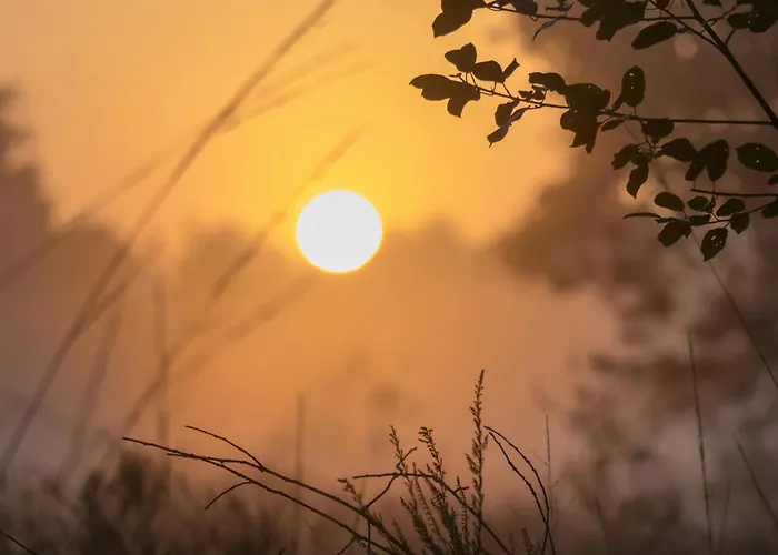 Autentieke Pipowagen Bijzonder Buitenaf Met Jacuzzi En Finse Sauna Semesterbostad Vragender