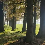 Hébergement de vacances Autentieke Pipowagen Bijzonder Buitenaf Met Jacuzzi En Finse Sauna *
